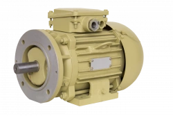 Three-phase asynchronous motors 2DMSh 100, 2DMShM 100 (1,1-2,2 kW)