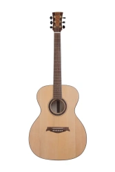 Acoustic guitar