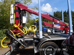 Manipulator-type forest loader MM-100-03