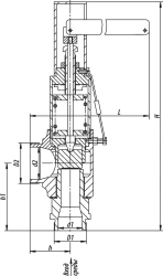 17c-1-2 Direct acting safety relief valve