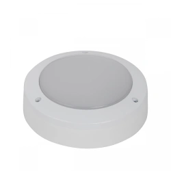 LED Luminaire Housing and Communal Services Mini-10 (BIEA.676279.008)