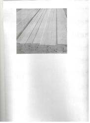Planed Hardwood Board for Furniture, Birch, 2m Length, 6-40cm Width, 2.5cm Thickness