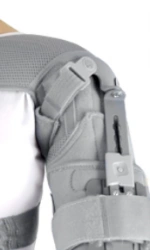 Shoulder joint apparatus