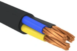 Cable VVG ng(A)LS Kr 3x10 1kV LLC "KKF" GOST