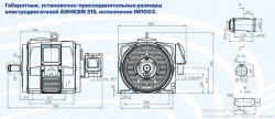 AC electric motors of series AINKEM 315 asynchronous with phase rotor, power more than 75 kW, but not more than 375 kW