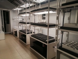 Hydroponic plant "SCHOOL"