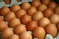 Fresh Grade 1 Table Chicken Eggs