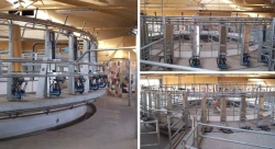 milking machine (parlour) "Carousel"