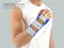 Wrist and elbow joint apparatus