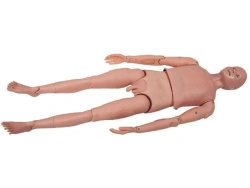 Mannequin for aseptic treatment practice, LV19A