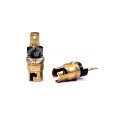 Patron with plug LV211-3714329