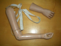 Active shoulder prosthesis with traction control PR4-22