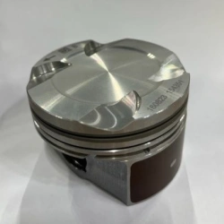 Piston 1004011BEN01