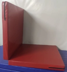 Folding gymnastic mat