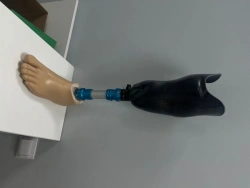 8-07-04 Tibia prosthesis for bathing