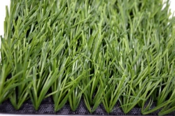 Artificial grass Grass 40/10 PU