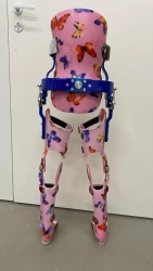 Lower limb and torso apparatus with reciprocal gaiter