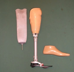 Modular tibial prosthesis with silicone cover PN3-87.01