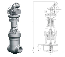 Gate valve 1123-100-EM