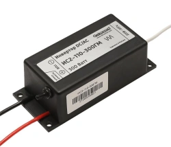 Inverter IS2-110-300GM (sealed) DC/AC 110/220V 300W voltage converter