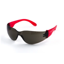 Safety goggles O15 HAMMER ACTIVE, article 11525