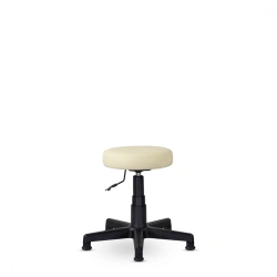 Cashier's chair L