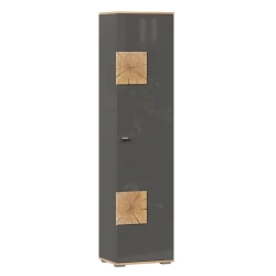 Fiji LD.659160.000 Single-leaf cupboard (Oak Gold/Antracite )