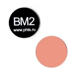 Fluorescent testing target BM2-2