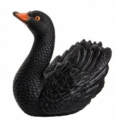 Swan black
