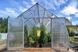 Greenhouse "Farmer"