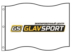 Flag GS-FGI