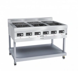 Six-burner induction cooker, type KIP-69P-5,0-01 for catering enterprises (on a stand) made of stainless steel.