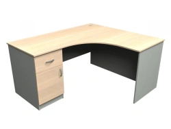 Medical writing desk SPU-5