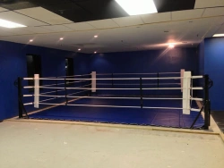 Floor boxing ring