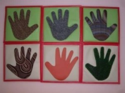 Didactic "Palms"