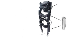 Knee and ankle joint apparatus with knee joint with microprocessor control ANK-GSCS-MP