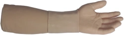 Hand model for I/R injection, HSP