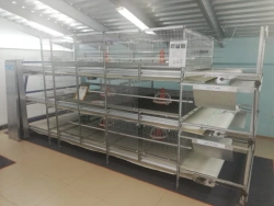 Installation for broiler growing, model "CARRE-1600"