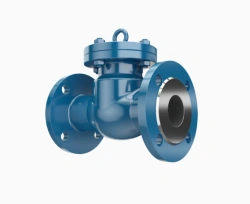 Check valve PT41015