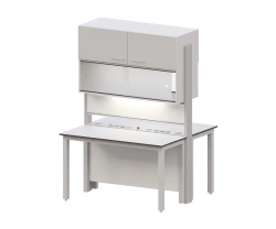 Laboratory island table (SMARTLAB A90B series)