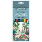 Watercolour pencils "VKF" "Painting" JIV-WCP-1024 Set of watercolour pencils sharpened 4 x 24 colour.