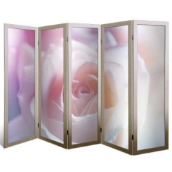 Curtain frame