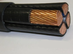 Power cables for voltage 0,66 kV, 1 kV with copper conductive conductors: PvVG.