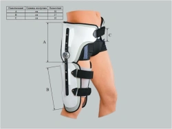 Knee and hip joint apparatus