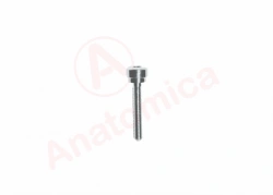 Compression screw