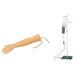 Multifunctional hand model for practising injections, S