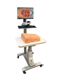 XR-BODY - abdominal palpation simulator with XR technology