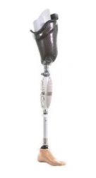 Modular hip prosthesis, including those with congenital underdevelopment, PN6-OB
