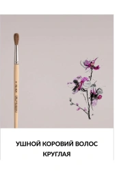 Painted round round brush of cow's ear hair
