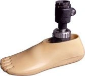 Foot on low heel 9A 011D children's 21